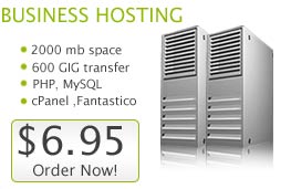 Business Hosting